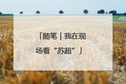 随笔｜我在现场看“苏超”