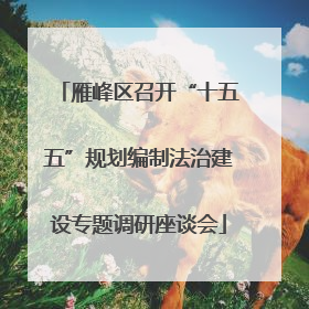雁峰区召开“十五五”规划编制法治建设专题调研座谈会