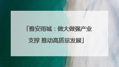 雅安雨城：做大做强产业支撑 推动高质量发展