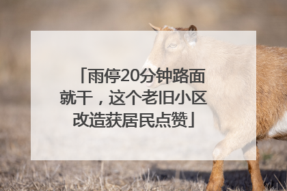 雨停20分钟路面就干，这个老旧小区改造获居民点赞