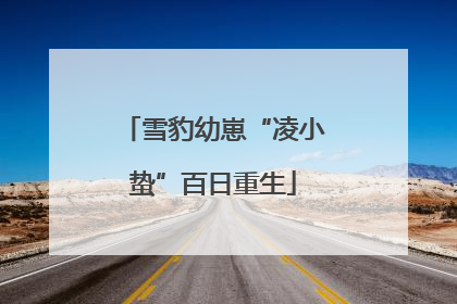 雪豹幼崽“凌小蛰”百日重生