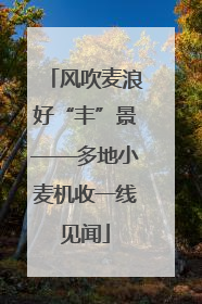 风吹麦浪好“丰”景——多地小麦机收一线见闻