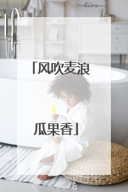 风吹麦浪 瓜果香