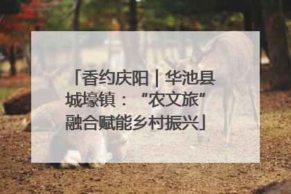 香约庆阳｜华池县城壕镇：“农文旅”融合赋能乡村振兴