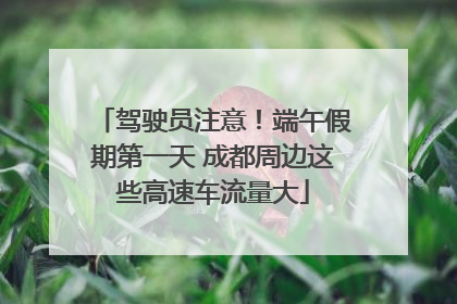 驾驶员注意！端午假期第一天 成都周边这些高速车流量大