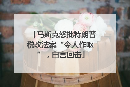 马斯克怒批特朗普税改法案“令人作呕”，白宫回击