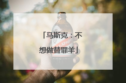 马斯克：不想做替罪羊