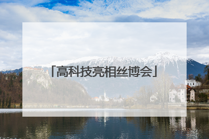 高科技亮相丝博会