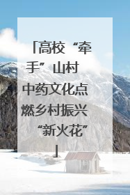 高校“牵手”山村 中药文化点燃乡村振兴“新火花”