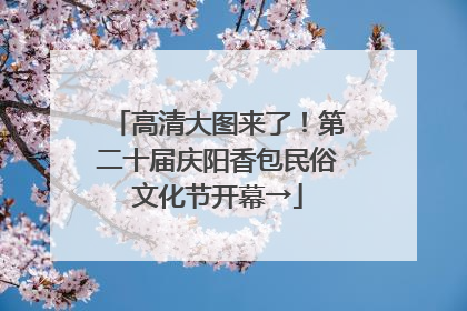 高清大图来了！第二十届庆阳香包民俗文化节开幕→