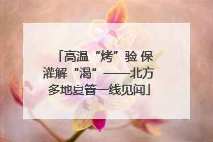 高温“烤”验 保灌解“渴”——北方多地夏管一线见闻