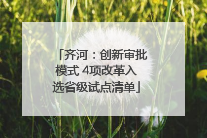 齐河：创新审批模式 4项改革入选省级试点清单