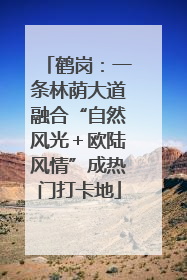 鹤岗：一条林荫大道融合“自然风光＋欧陆风情”成热门打卡地