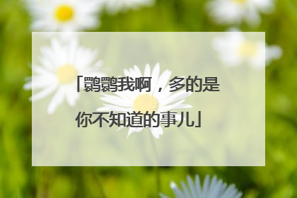 鹮鹮我啊，多的是你不知道的事儿