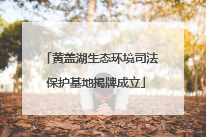 黄盖湖生态环境司法保护基地揭牌成立