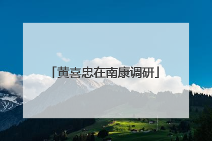 黄喜忠在南康调研
