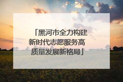 黑河市全力构建新时代志愿服务高质量发展新格局