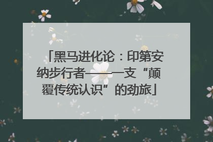 黑马进化论：印第安纳步行者——一支“颠覆传统认识”的劲旅