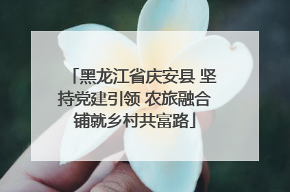 黑龙江省庆安县 坚持党建引领 农旅融合铺就乡村共富路
