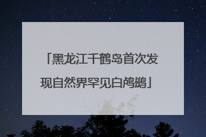 黑龙江千鹤岛首次发现自然界罕见白鸬鹚