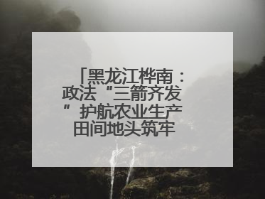 黑龙江桦南：政法“三箭齐发”护航农业生产 田间地头筑牢平安建设防线