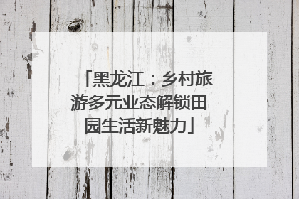 黑龙江：乡村旅游多元业态解锁田园生活新魅力