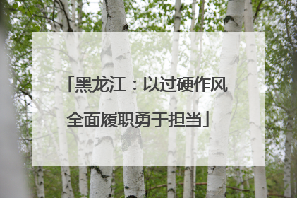 黑龙江：以过硬作风全面履职勇于担当