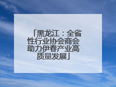 黑龙江：全省性行业协会商会助力伊春产业高质量发展