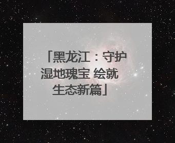 黑龙江：守护湿地瑰宝 绘就生态新篇
