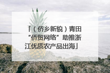 （侨乡新貌）青田“侨贸网络”助推浙江优质农产品出海
