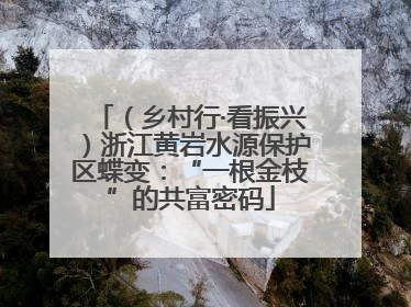 （乡村行·看振兴）浙江黄岩水源保护区蝶变：“一根金枝”的共富密码