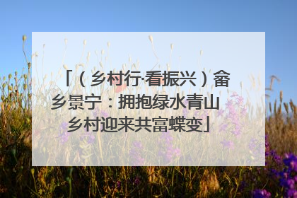 （乡村行·看振兴）畲乡景宁：拥抱绿水青山 乡村迎来共富蝶变