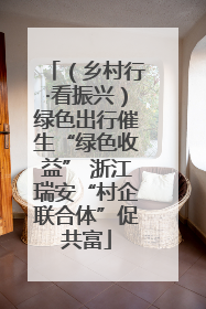 （乡村行·看振兴）绿色出行催生“绿色收益” 浙江瑞安“村企联合体”促共富