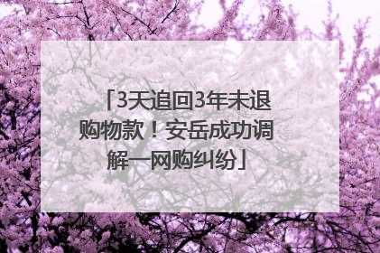 3天追回3年未退购物款！安岳成功调解一网购纠纷
