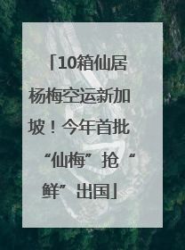 10箱仙居杨梅空运新加坡！今年首批“仙梅”抢“鲜”出国