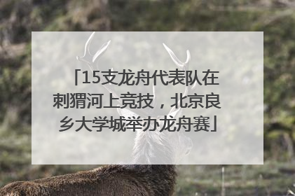 15支龙舟代表队在刺猬河上竞技，北京良乡大学城举办龙舟赛