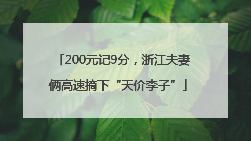 200元记9分，浙江夫妻俩高速摘下“天价李子”