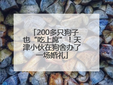 200多只狗子也“吃上席”！天津小伙在狗舍办了一场婚礼