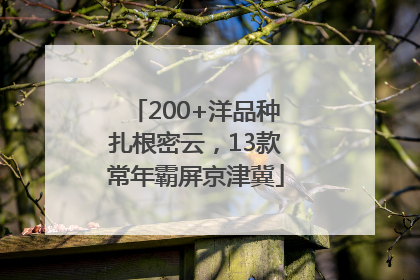 200+洋品种扎根密云，13款常年霸屏京津冀