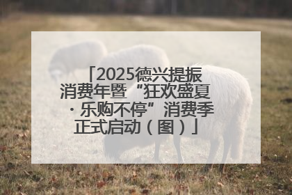 2025德兴提振消费年暨“狂欢盛夏・乐购不停”消费季正式启动（图）