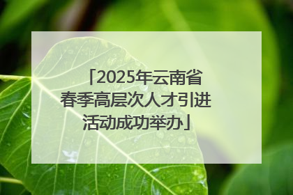 2025年云南省春季高层次人才引进活动成功举办