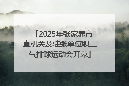 2025年张家界市直机关及驻张单位职工气排球运动会开幕