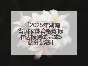 2025年湖南省国家体育锻炼标准达标测试完成5站分站赛