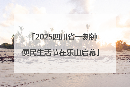 2025四川省一刻钟便民生活节在乐山启幕
