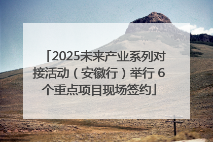 2025未来产业系列对接活动（安徽行）举行 6个重点项目现场签约