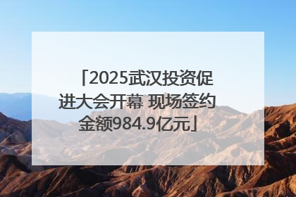 2025武汉投资促进大会开幕 现场签约金额984.9亿元