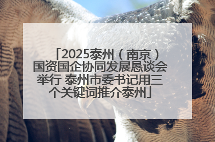 2025泰州（南京）国资国企协同发展恳谈会举行 泰州市委书记用三个关键词推介泰州