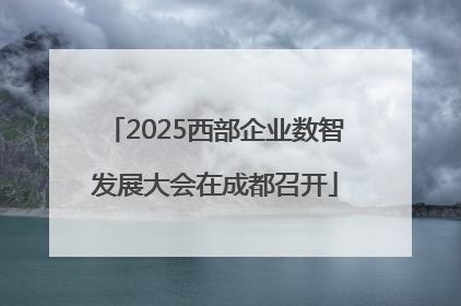 2025西部企业数智发展大会在成都召开