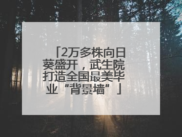 2万多株向日葵盛开，武生院打造全国最美毕业“背景墙”