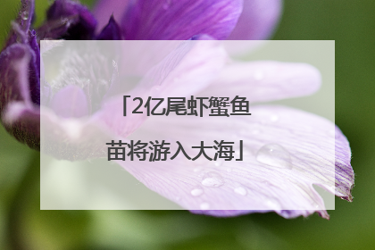 2亿尾虾蟹鱼苗将游入大海